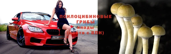 индика Покровск