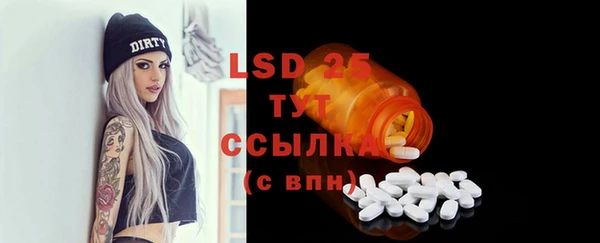 ГАЛЛЮЦИНОГЕННЫЕ ГРИБЫ Покров