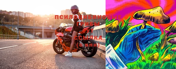 индика Покровск