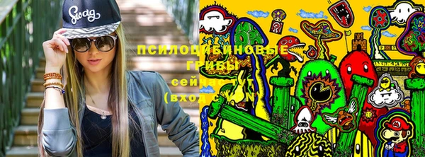 гидропоника Приозерск